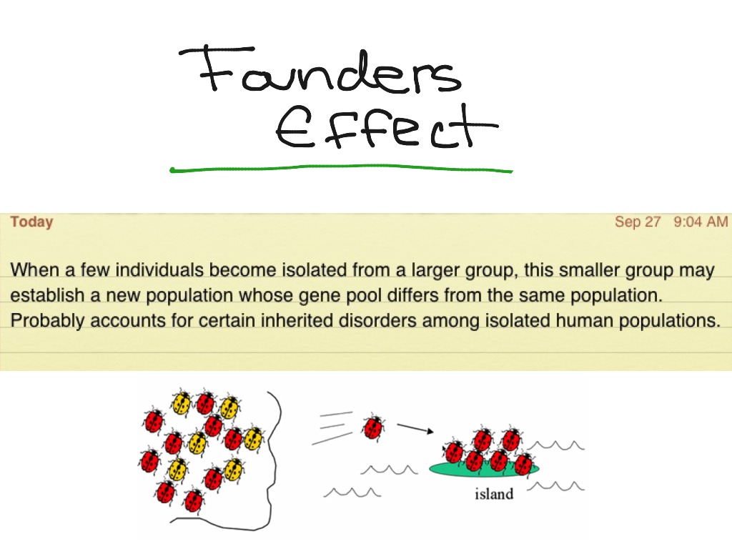 Founder Effect Science ShowMe