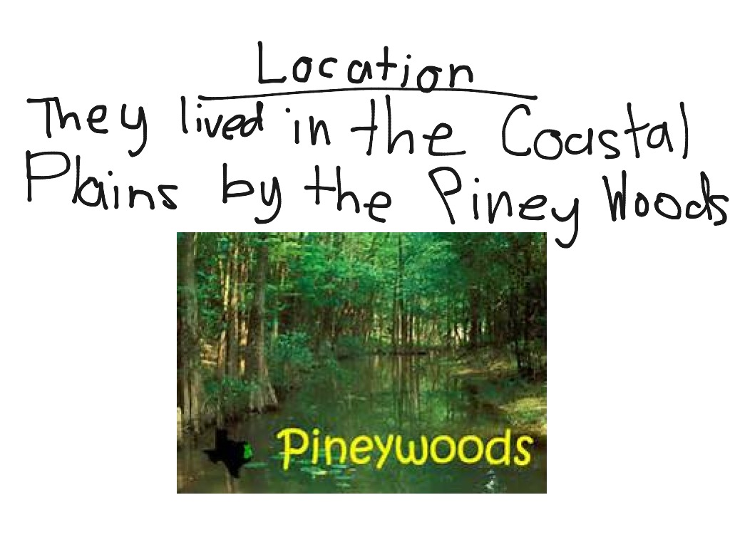 most-viewed-thumbnail