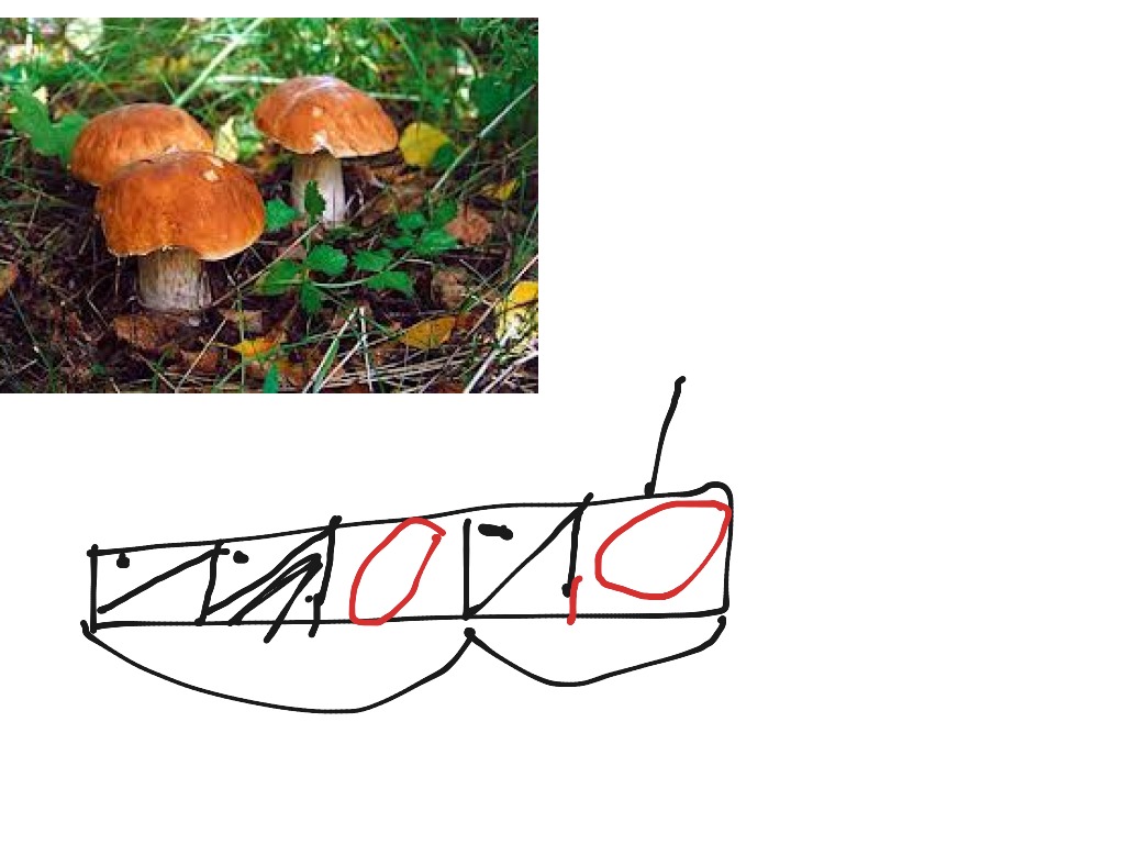 most-viewed-thumbnail