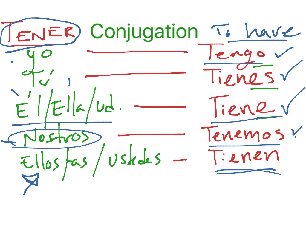 Tener Conjugation 8789