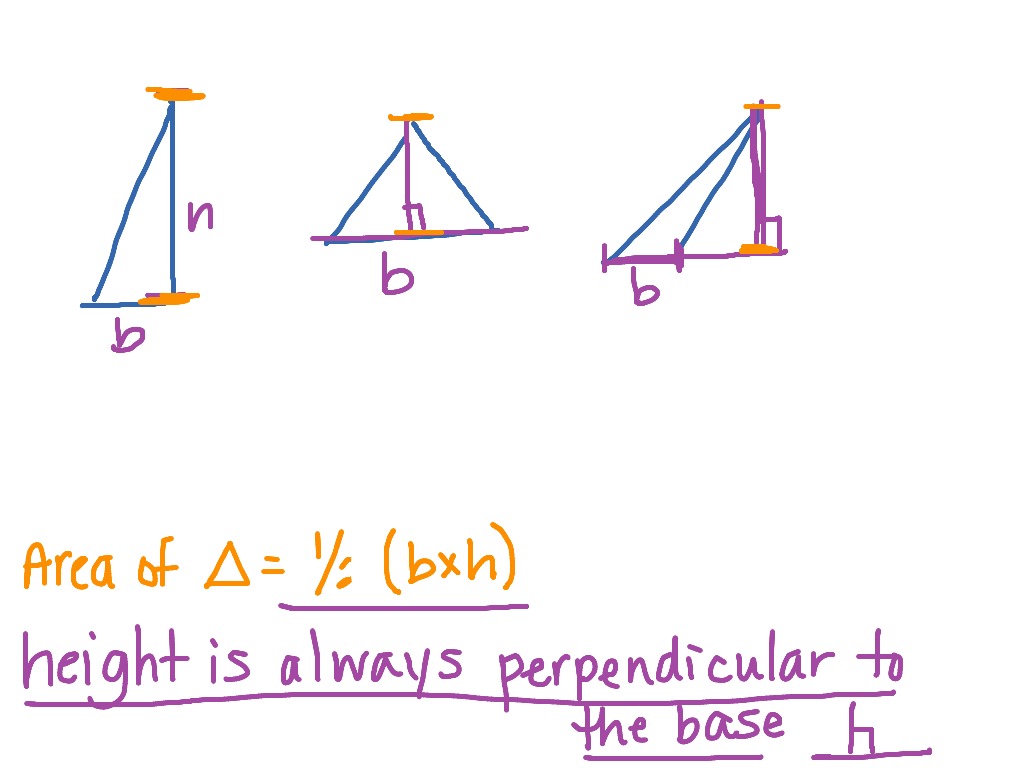 How to find base and height on triangles | ShowMe