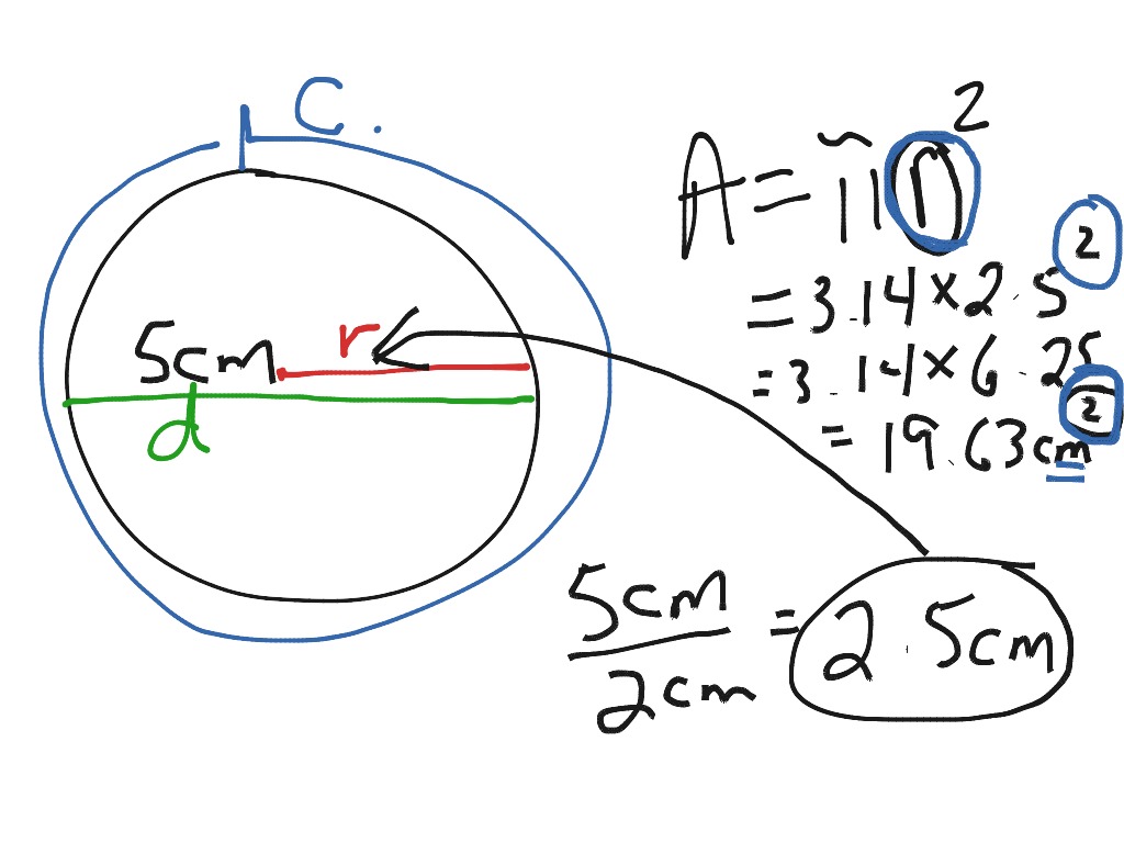 grade-8-math-area-of-circle-math-elementary-math-showme