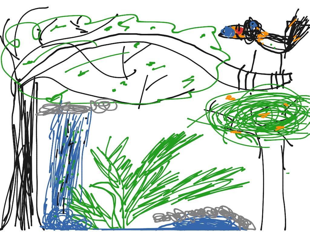 Rainforest | Art, Drawing, Color | ShowMe