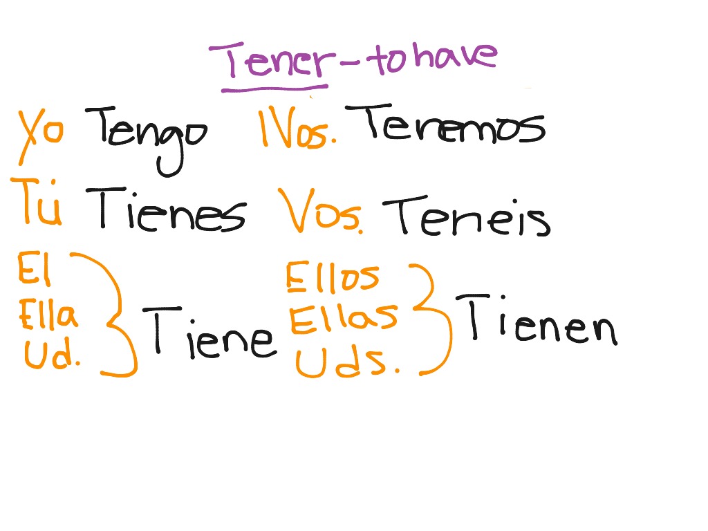 Conjugation Of Tener Language Spanish Showme