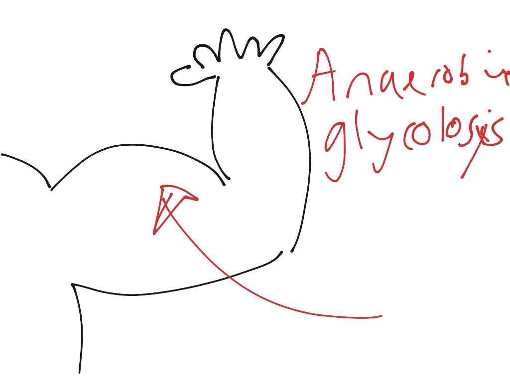 most-viewed-thumbnail