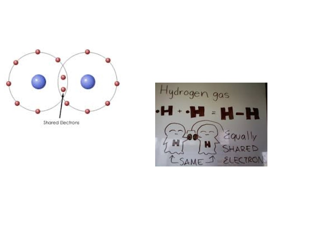 Covalent Bonds Science Showme