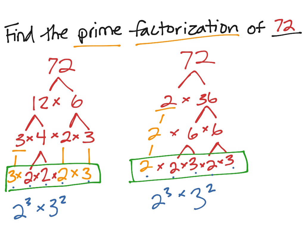 Prime factorization | Math | ShowMe