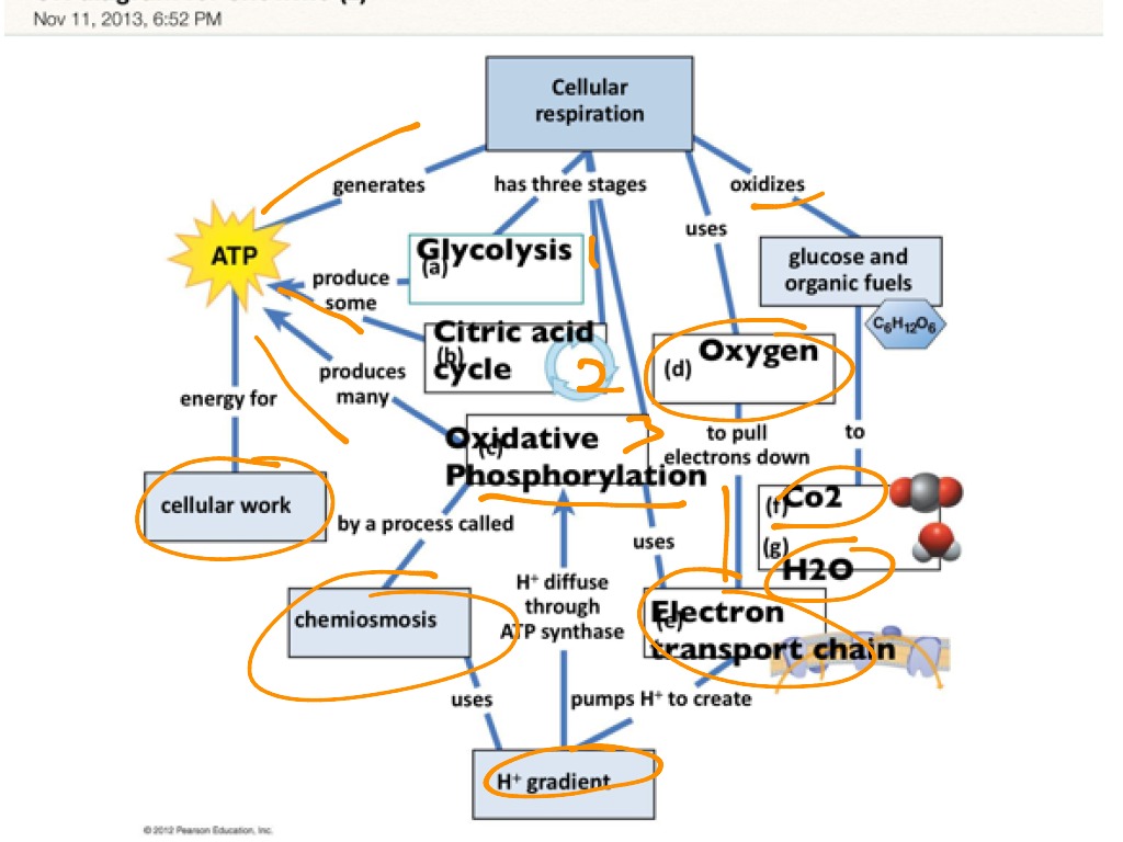 most-viewed-thumbnail