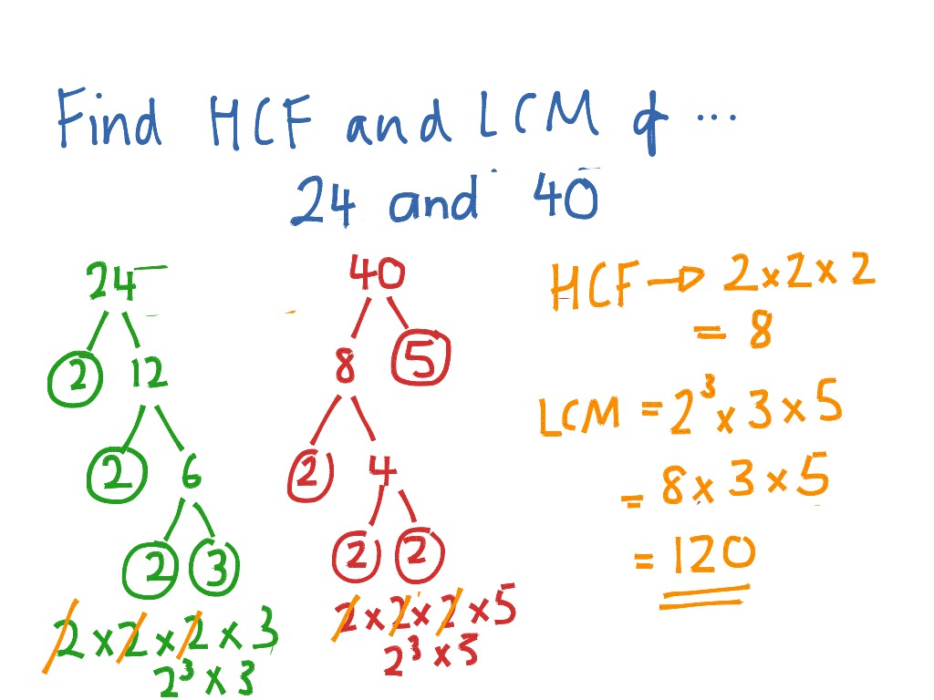 k-12-grade-5-least-common-multiple-lcm-using-continuous-division