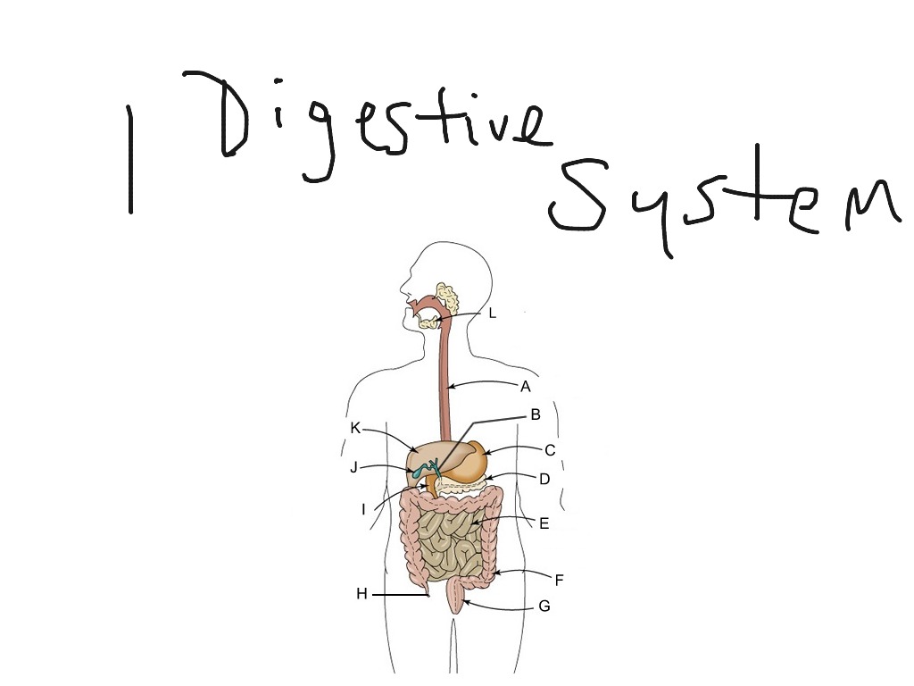 trial-science-showme