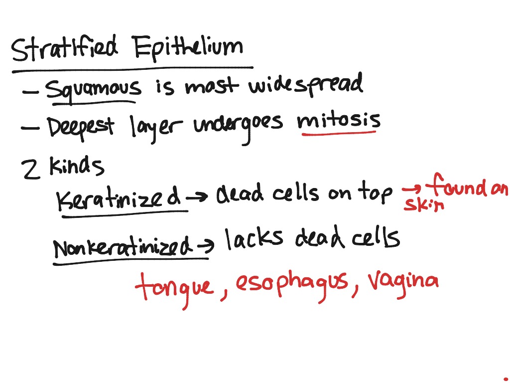 most-viewed-thumbnail