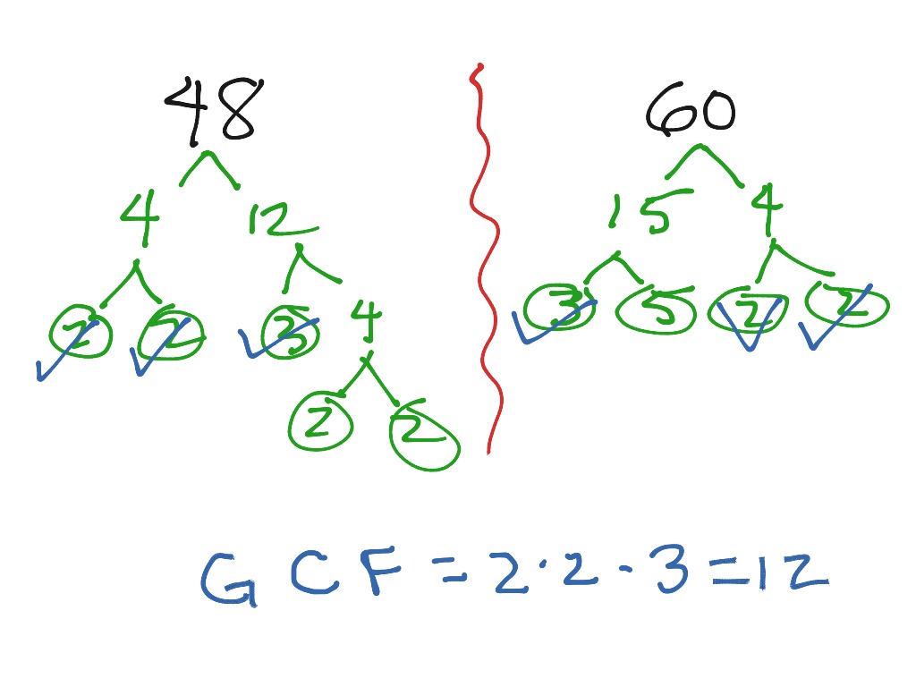 Finding GCF using Factor Trees | Math | ShowMe