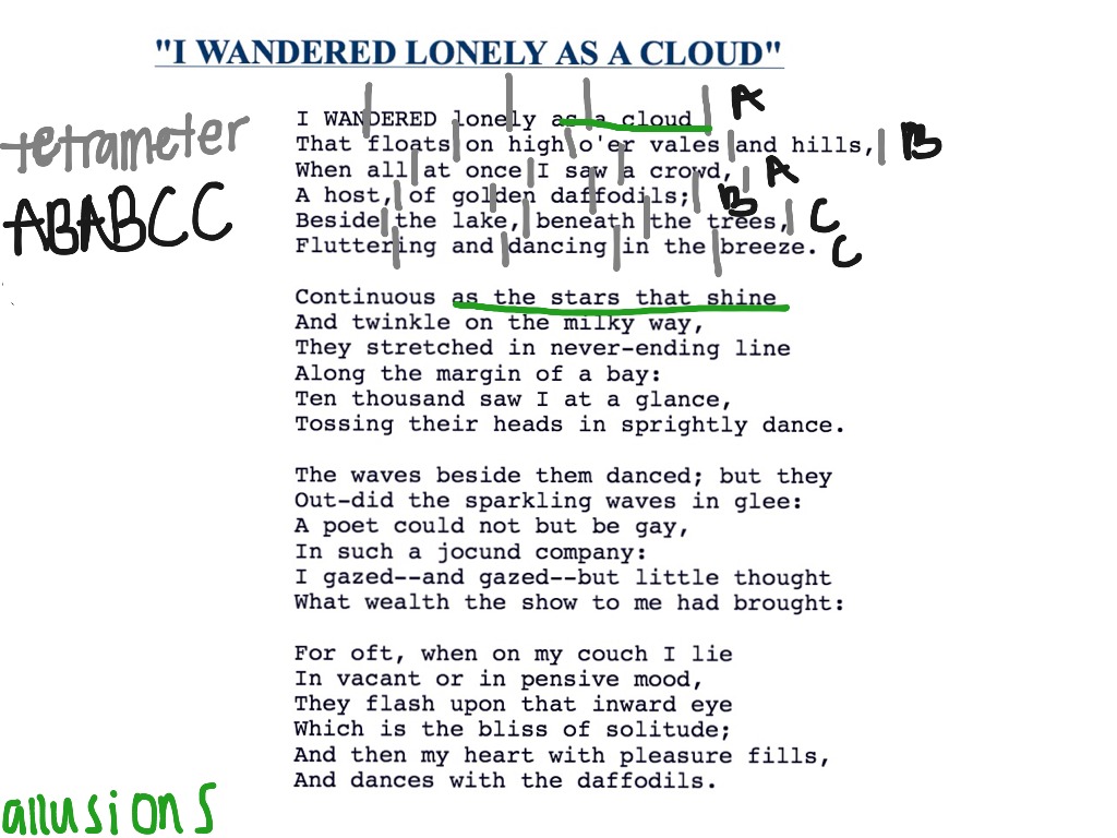 i wandered lonely as a cloud message