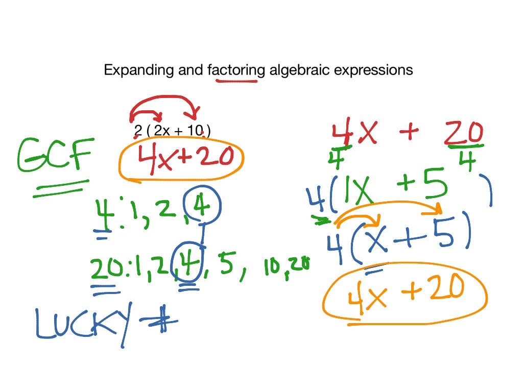 Expanding and factoring algebraic expressions | Math | ShowMe