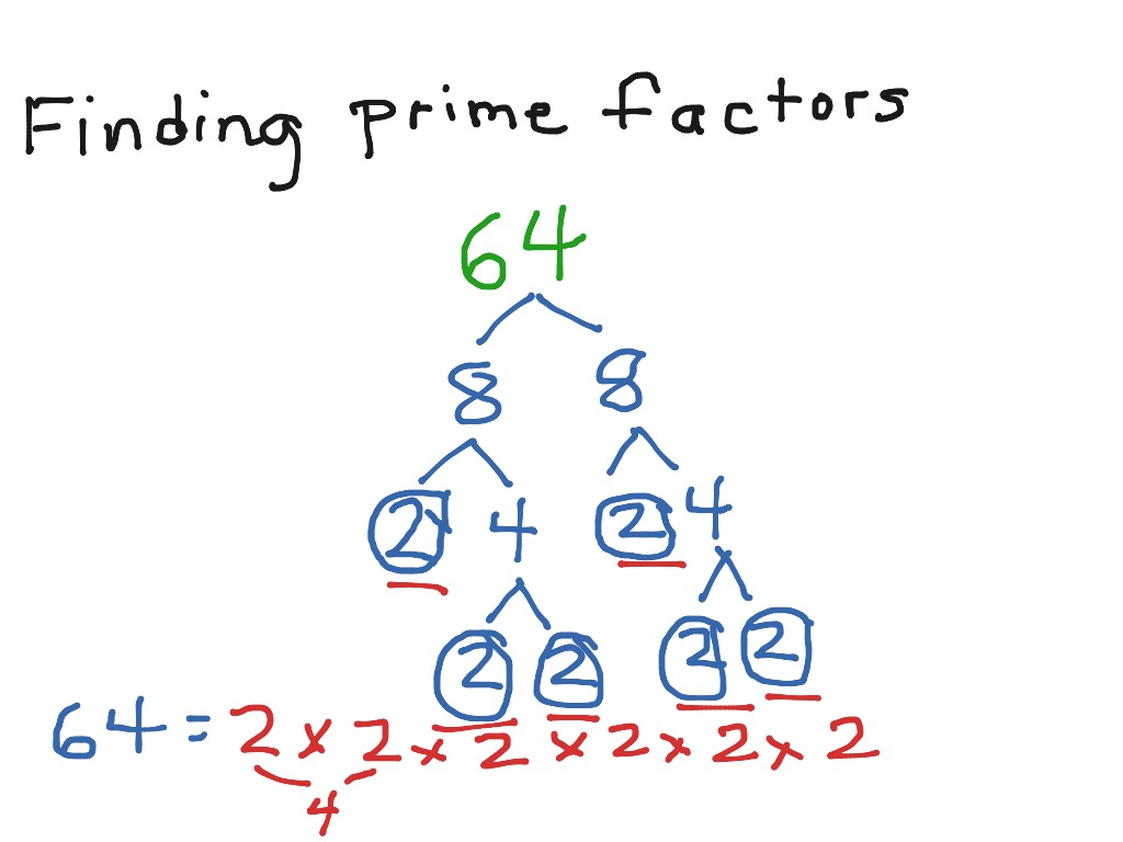 prime factorization definition