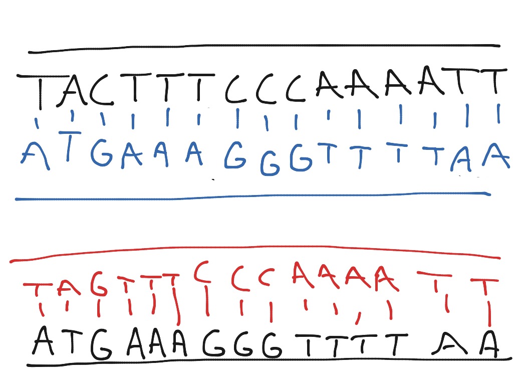 Cell division | Science, Biology, Genetics | ShowMe