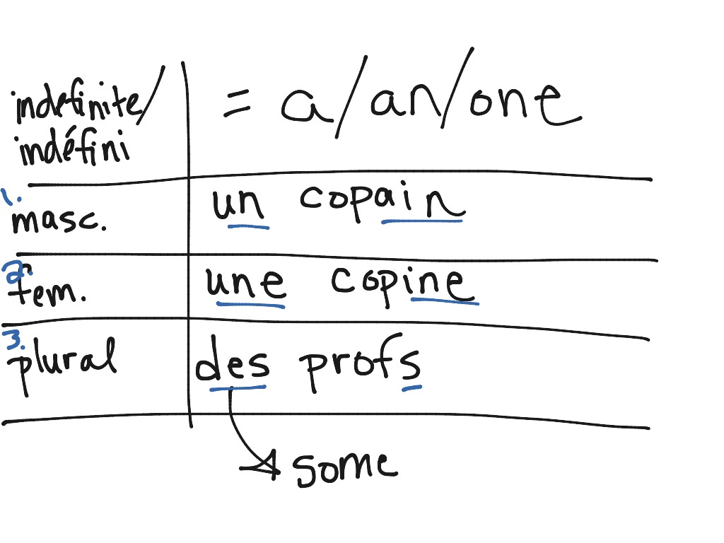 Definite and indefinite articles in French French, French Grammar