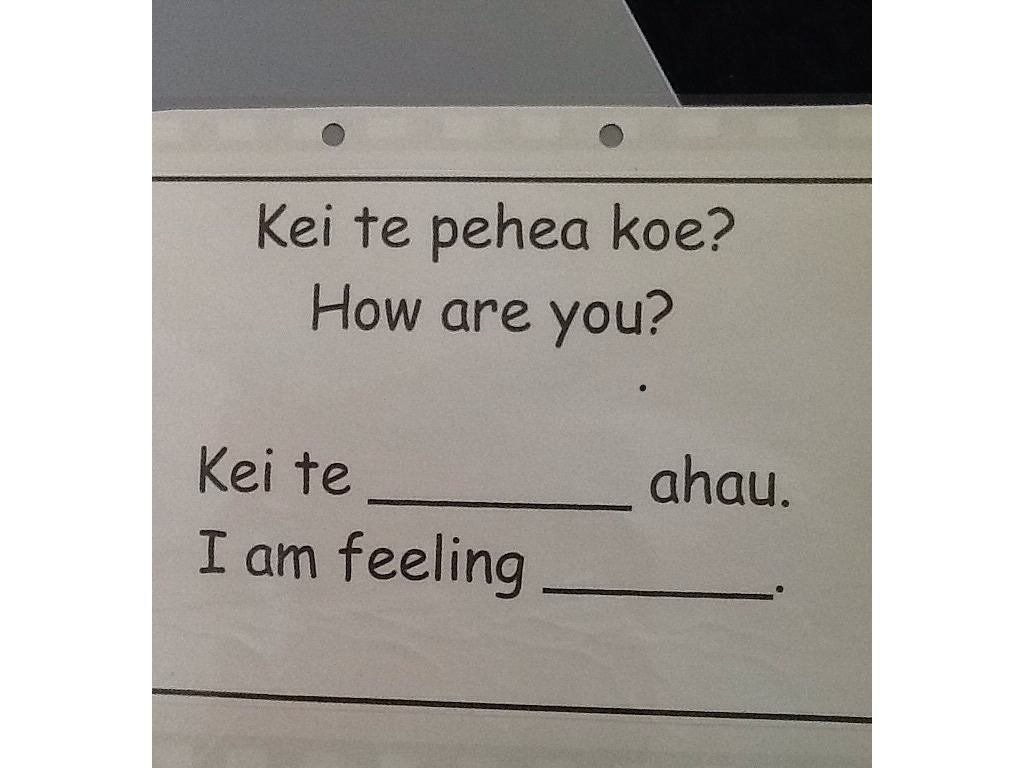 Practising greetings in te reo | Language | ShowMe