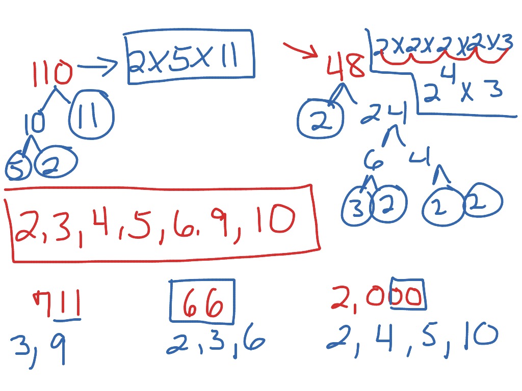 Prime factorization & divisibility rules review | Math | ShowMe