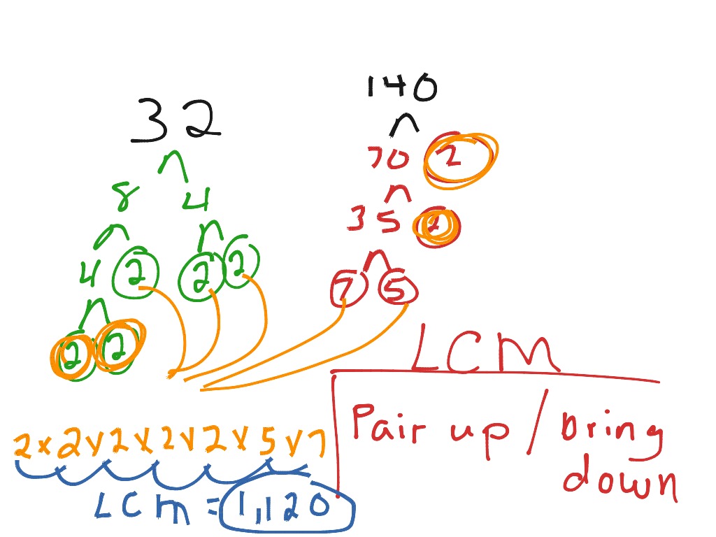 showme-factor-tree-for-64