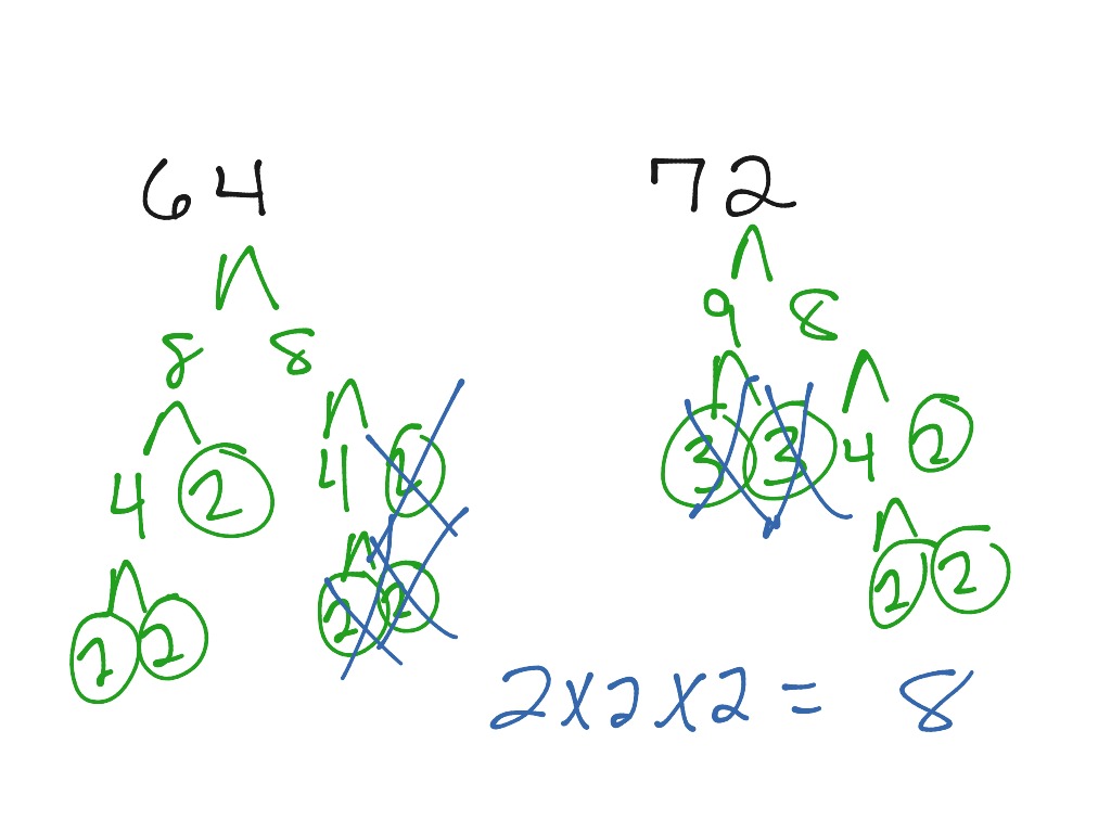 showme-factor-tree-for-64