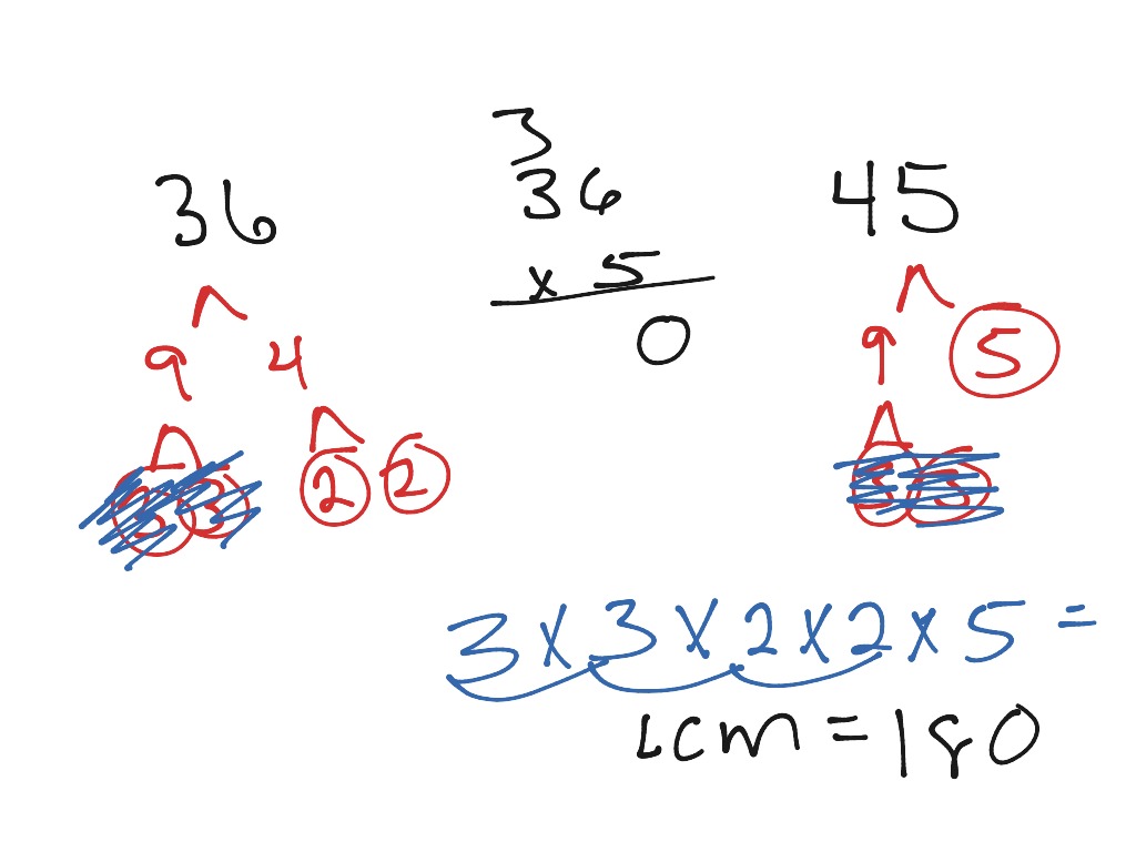 showme-factor-tree-of-250