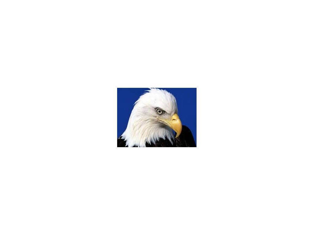 most-viewed-thumbnail