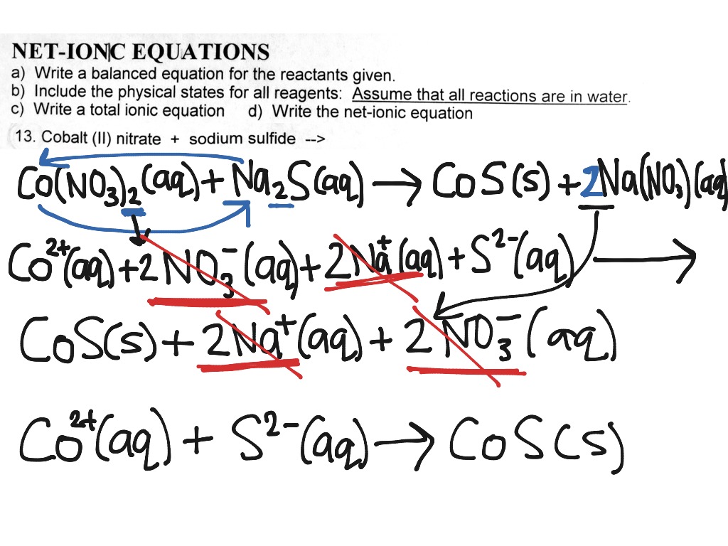 Krista s Net Ionic Equation Science ShowMe