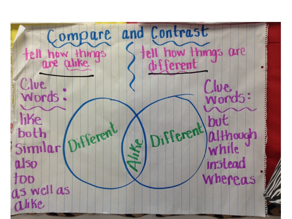 how to write a compare and contrast essay 5th grade
