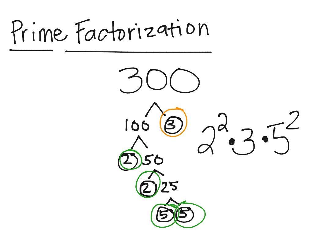 prime-factorization-math-showme