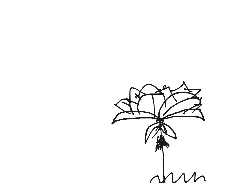 most-viewed-thumbnail