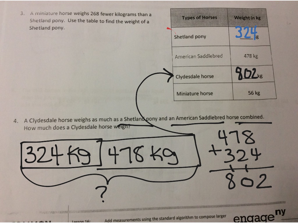 Module 2 Lesson 16 Math Showme