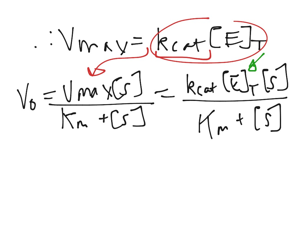 What is vmax and kcat science chemistry showme