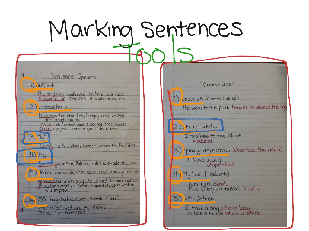 marking-sentence-openers-and-dress-ups-english-writing-grammar-showme