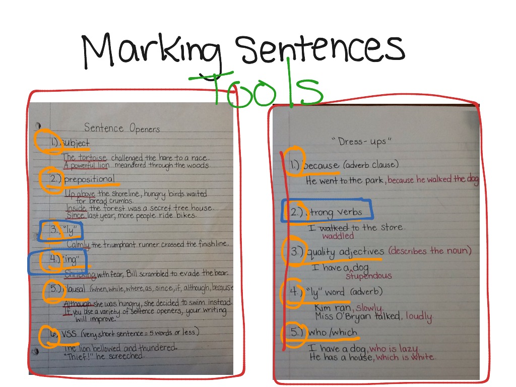 Marking Sentence Openers And Dress Ups English Writing Grammar ShowMe