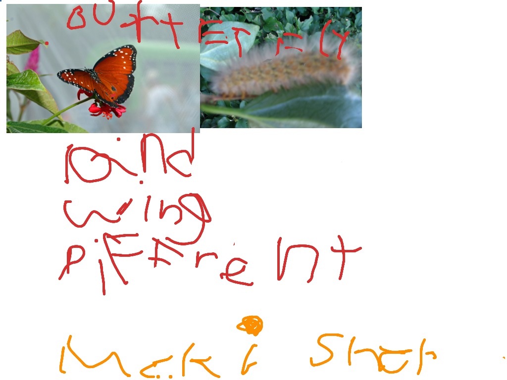 most-viewed-thumbnail