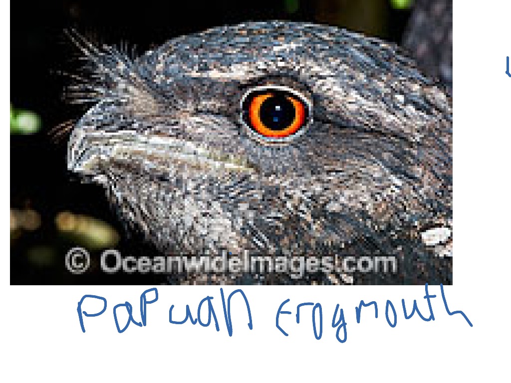 most-viewed-thumbnail