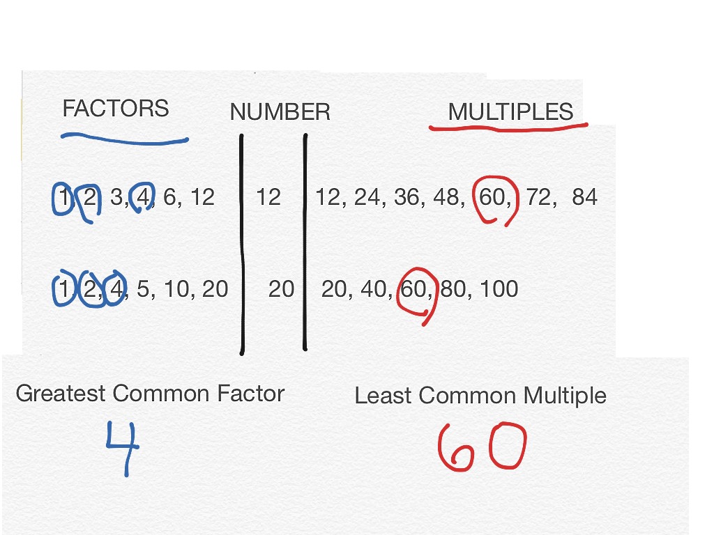 LCM and GCF | Math | ShowMe