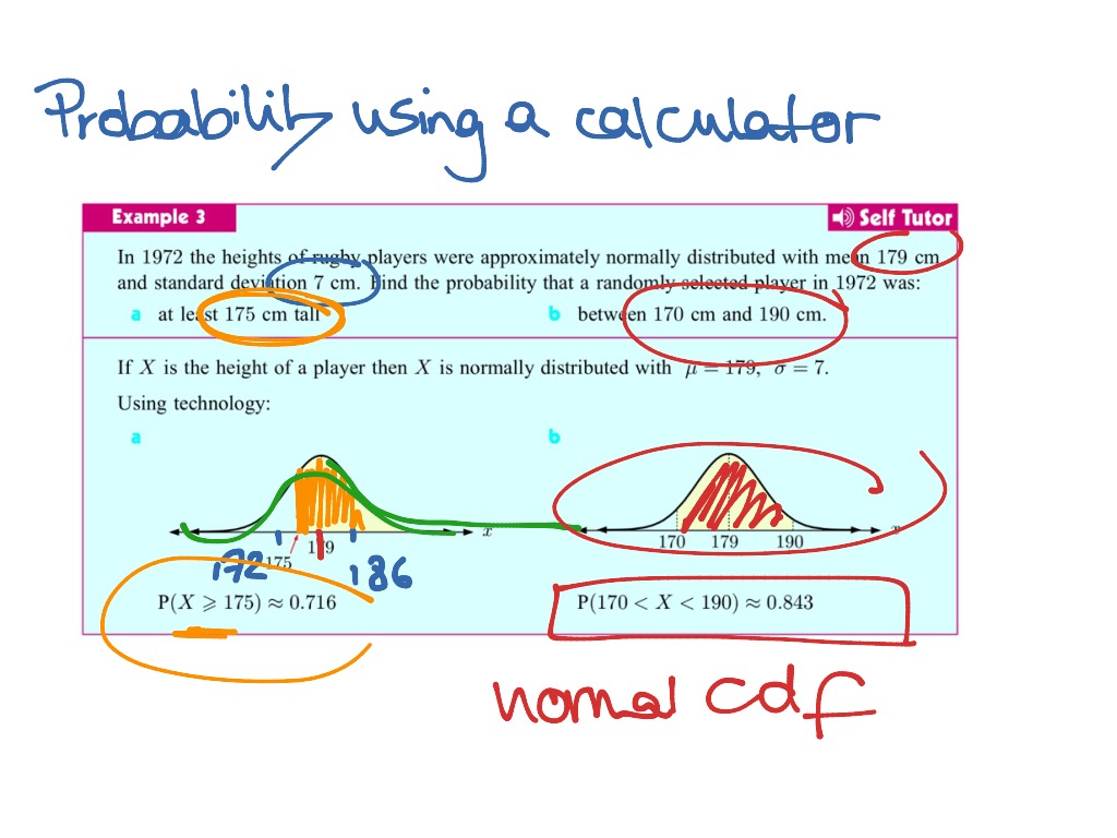 ib math studies differential calculus