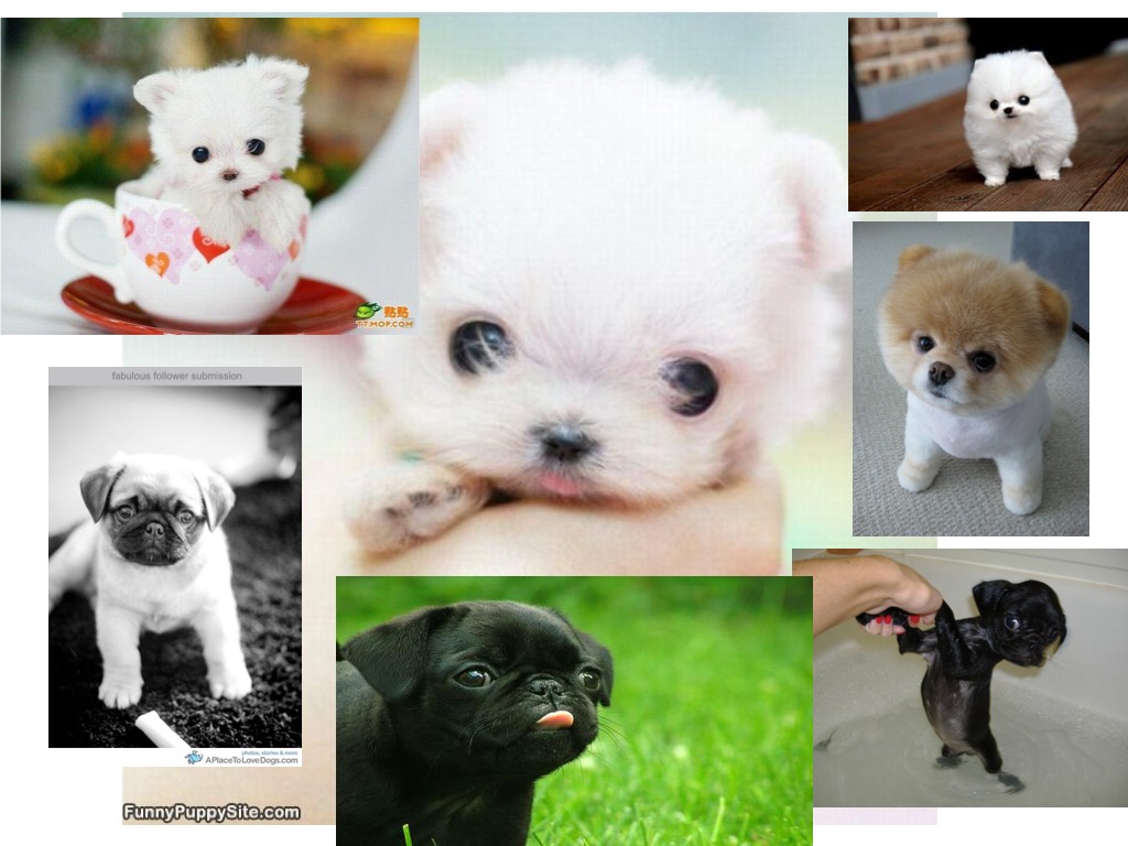 most-viewed-thumbnail