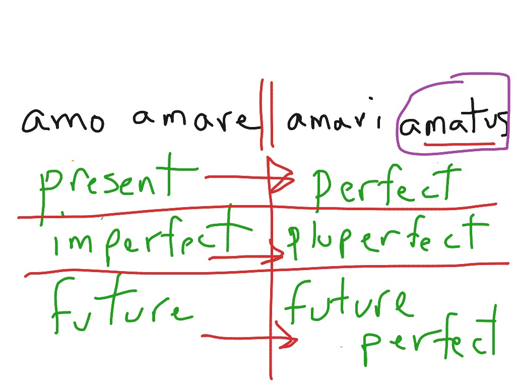 latin-four-principal-parts-stems-showme