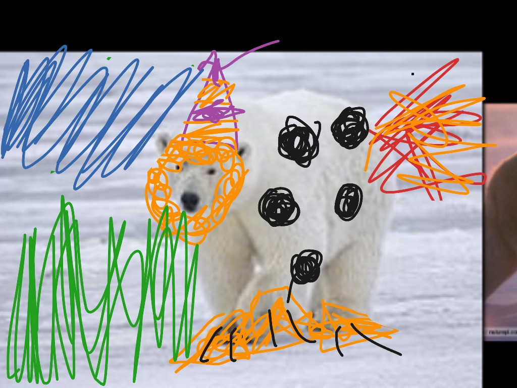 most-viewed-thumbnail