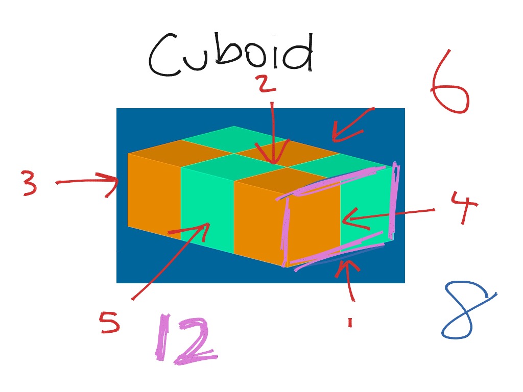 Properties of a cuboid | Math | ShowMe