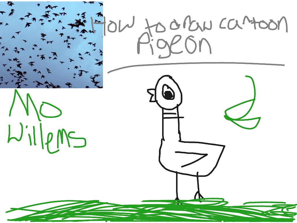 How to draw cartoon pigeon | Art | ShowMe