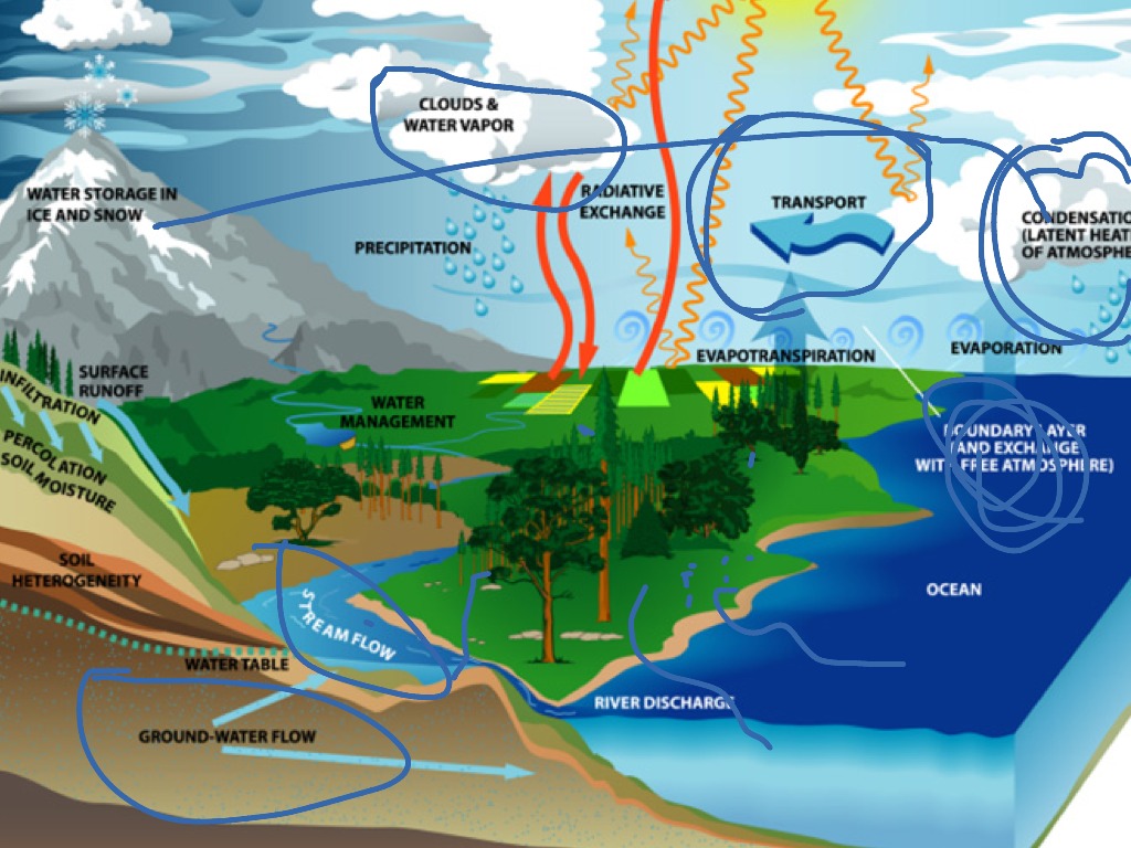 weather-cycle-science-showme