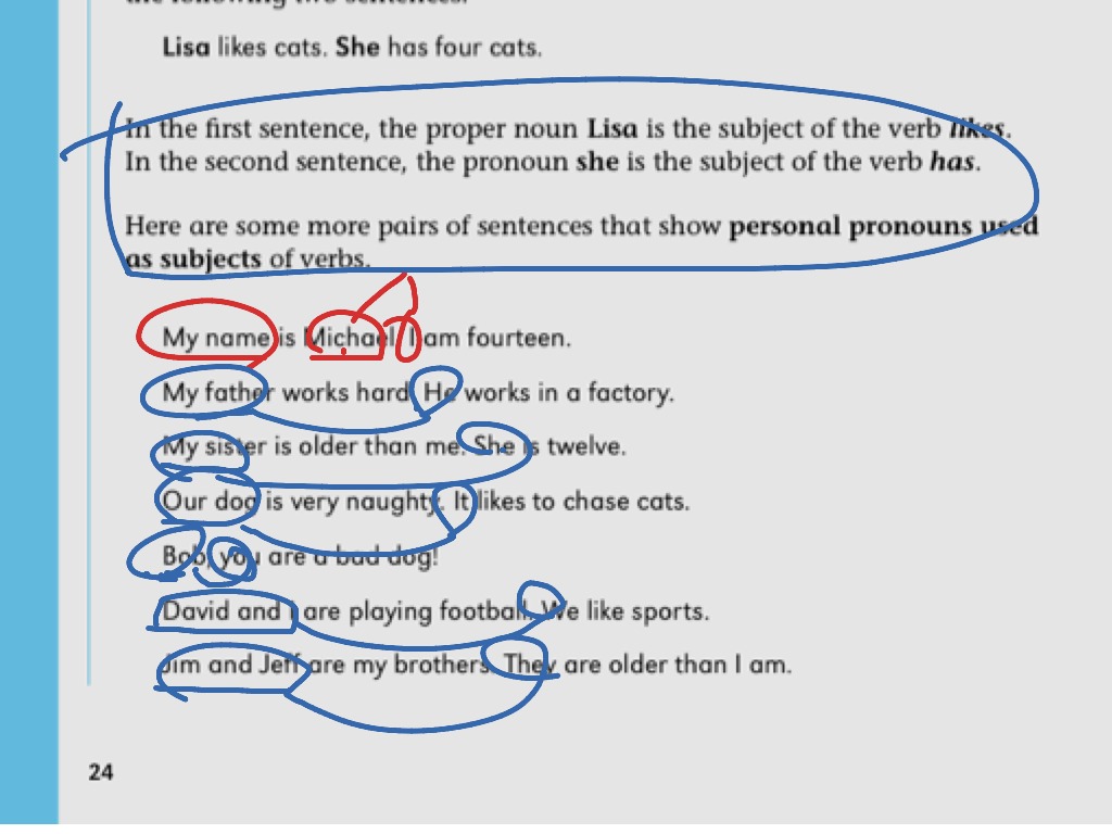 Pronoun Antecedent Agreement Example Sentences